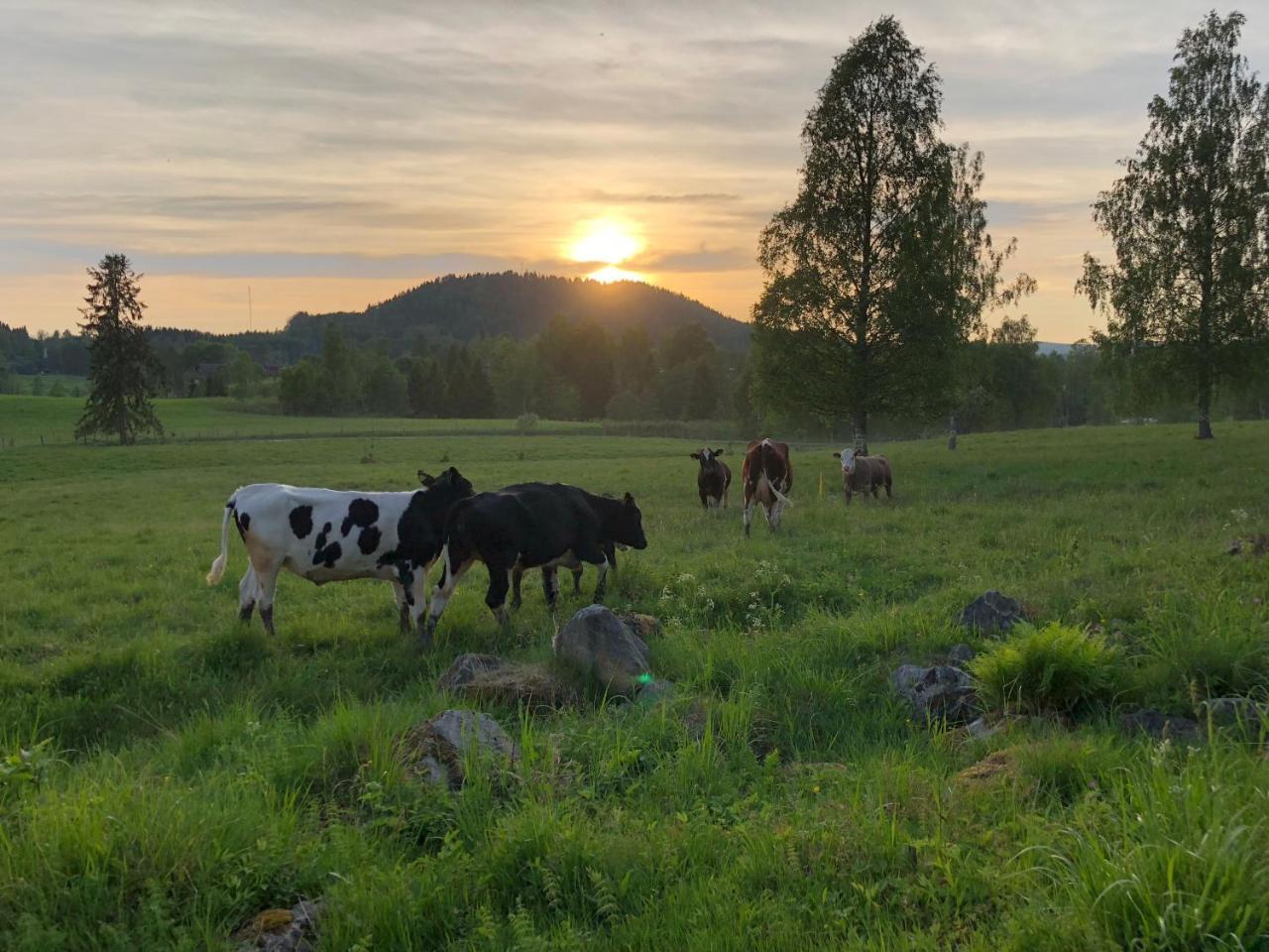 Appartamento Lovas Gard Koppera Charlottenberg Esterno foto